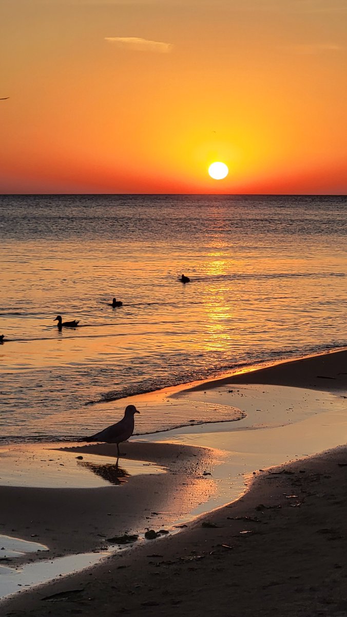 Academy911's tweet photo. @spann Mondays are for the birds, but at least I got all my ducks in a row.
#weatherwatch #watchweather #weatherspotter #weatheryoulikeitornot #weatheringwithyou #spannwx #greatlakes #lakemichigan #chicago #illinois #usa πΊπ² https://t.co/e7O4M4SlEe