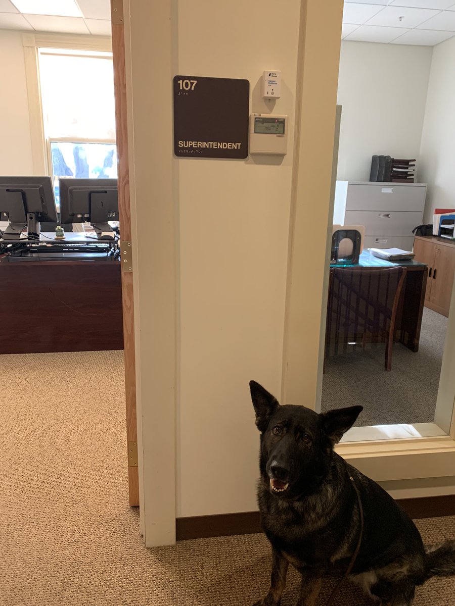 NalaMHS's tweet photo. @MarshfieldSuper I stopped by to say Hi this morning. Sorry I missed you-
Nala🐾 https://t.co/w3fZZPS9JF