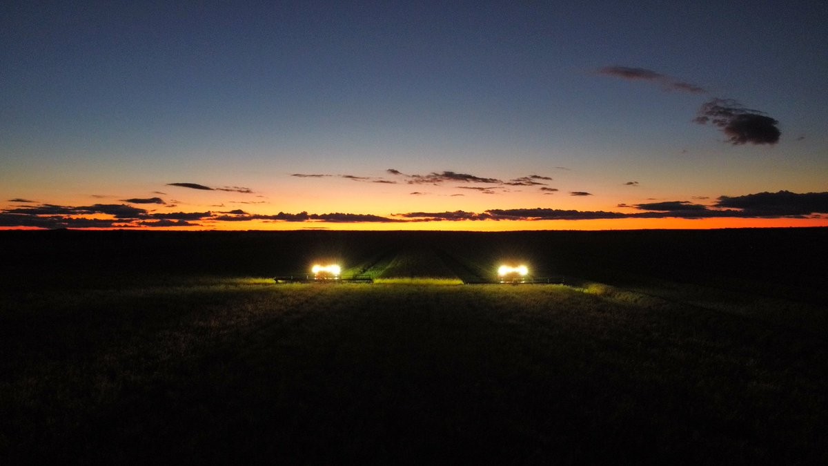 MarkPresto85's tweet photo. It’s nice to be getting into a bit of swathing. good crops and sum nice run lines https://t.co/6QpsjwGnlu