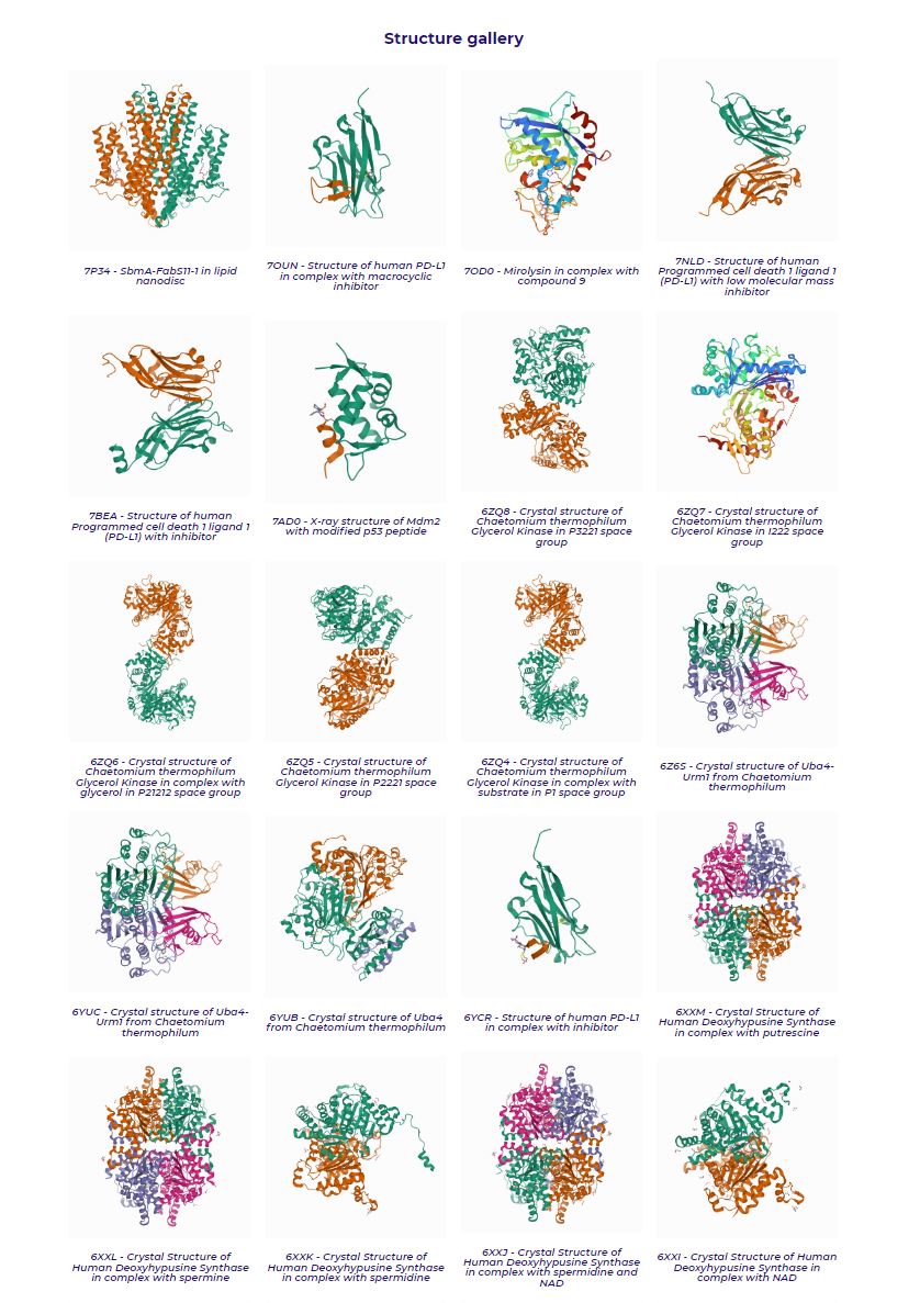 Struc_biol_PL's tweet photo. Our users deposited 88 #proteinstructures so far in the @rcsbPDB database and this number is still rising. See the updated structure gallery on our website - https://t.co/eY1sIhSQuG
#proteinstructure #structuralbiology #crystallography #scienceinpoland #corefacility https://t.co/JiXyFkB49Z