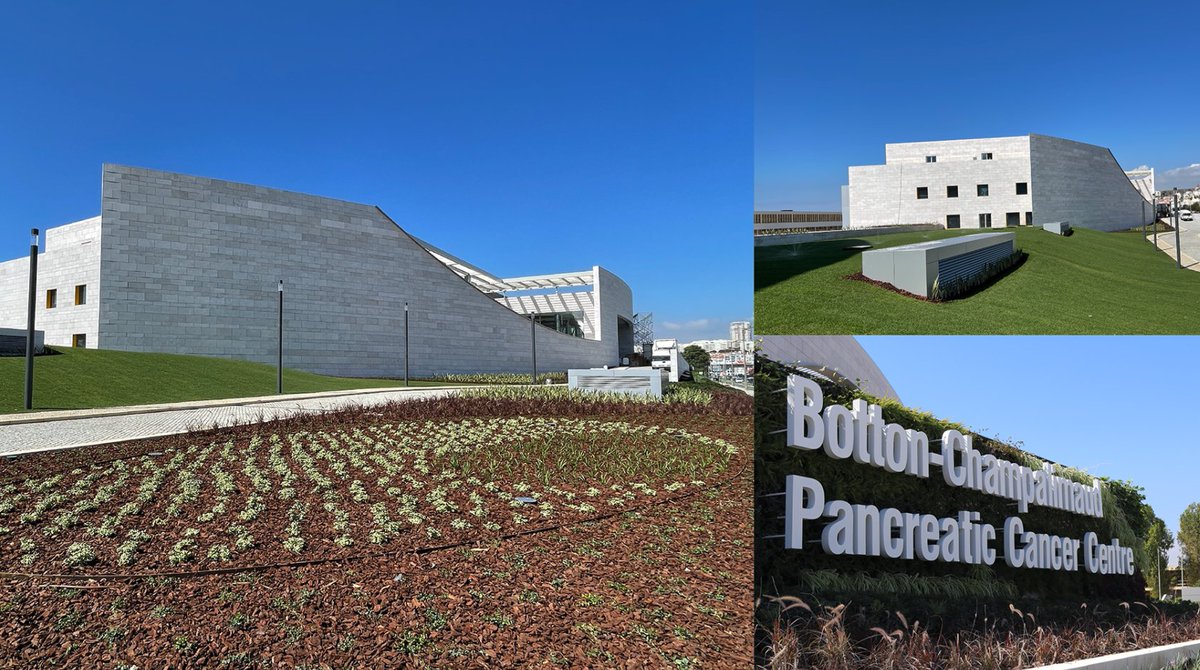 The long-awaited day is here...

Today at 3:00pm, the Botton-Champalimaud #PancreaticCancer Centre will be inaugurated!🥳

It's the first centre in the world simultaneously dedicated to #research and #treatment of this #cancer. 

Watch the #ceremony here👇
fchampalimaud.org
