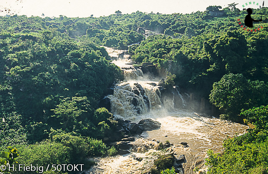 Treasures_Kenya's tweet photo. A stunning shot of a section of the Yala River inside Kakamega Forest.
#MondayMotivation #ShotsOfKenya #OurRiversKE  #TreasureKenya #Magicalkenya #WTD2021 https://t.co/PFaaRvQcK2