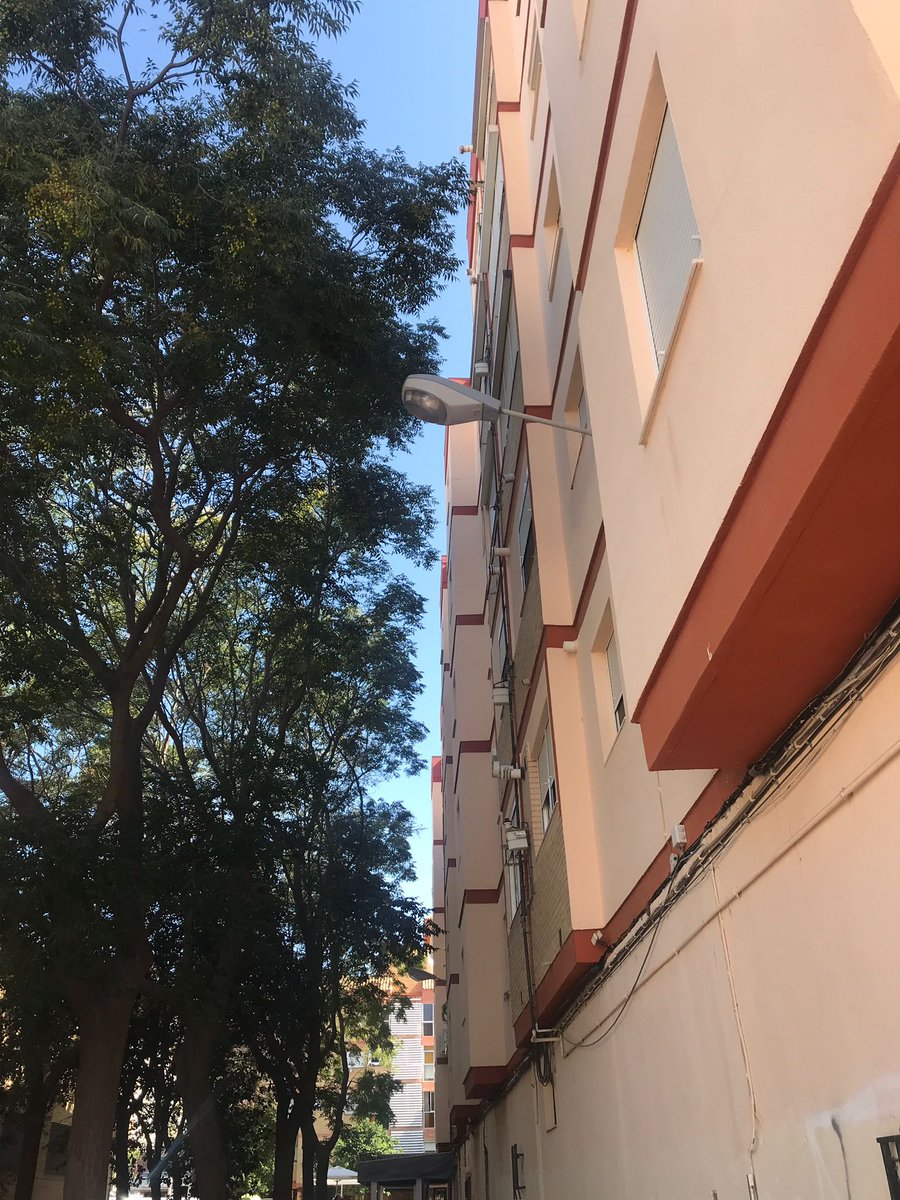carromru's tweet photo. @AytoHuelva no crees que es conveniente podar los árboles de la Plaza de Paco Toronjo? Las ramas se cogen por las ventanas, tenemos alergia, debemos encender las luces en casa,… que hay que hacer para que los podéis??? https://t.co/0G6mxKDTKi