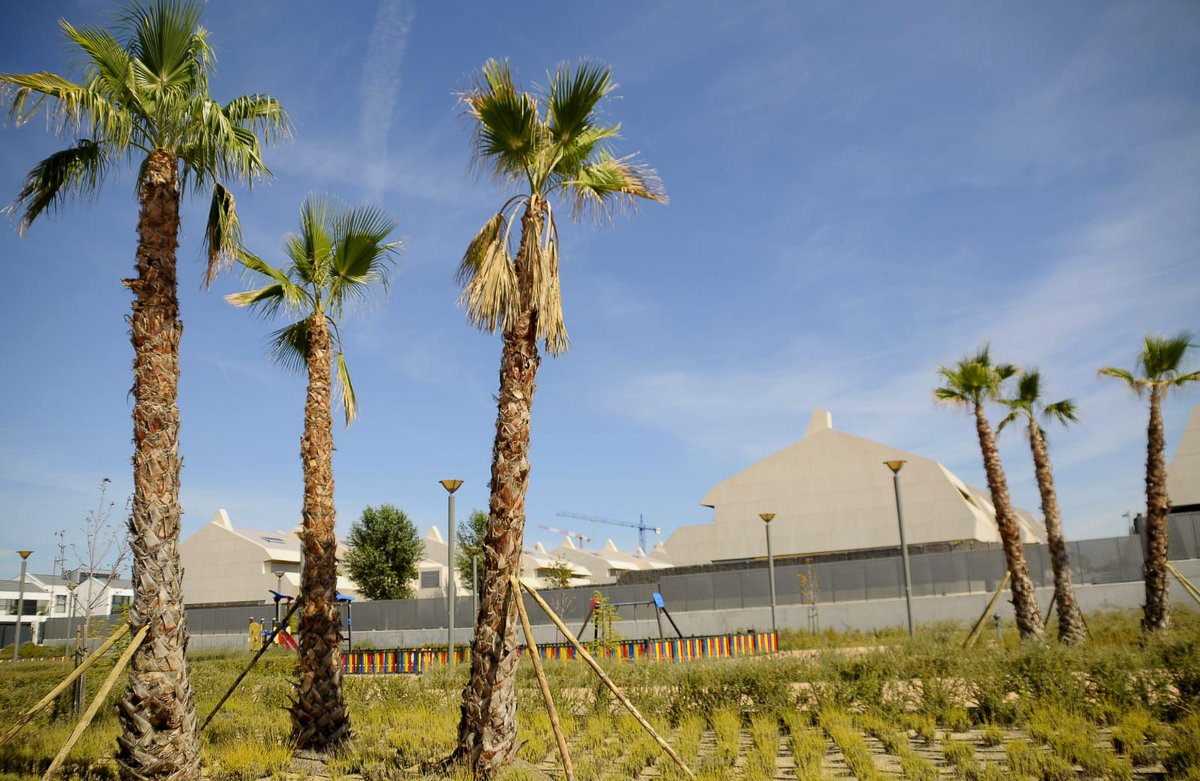 🏝️ Boadilla no sólo es Boadilla Beach en Infante don Luis. 

🚢🇪🇸 Ahora, también, en el parque de la Avenida de la Armada Española.