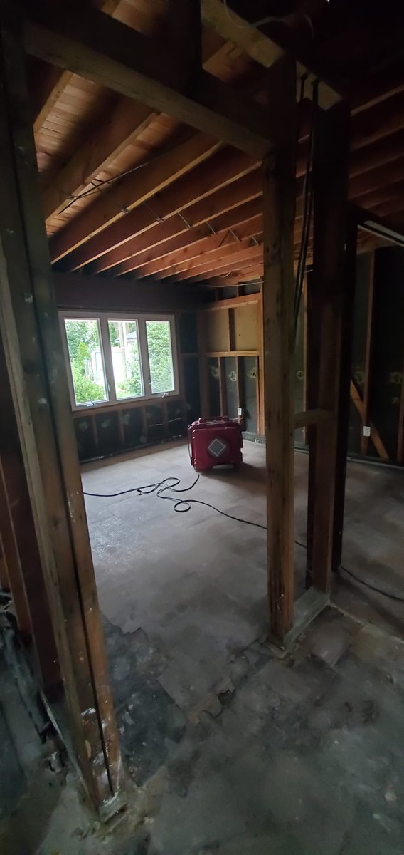#SpookySeason is upon us! One of the biggest frights is finding mold in your home or office. If you suspect there may be some creeping around, there most likely is. Give your home town Mold Busters, PuroClean of Mineola, a call!