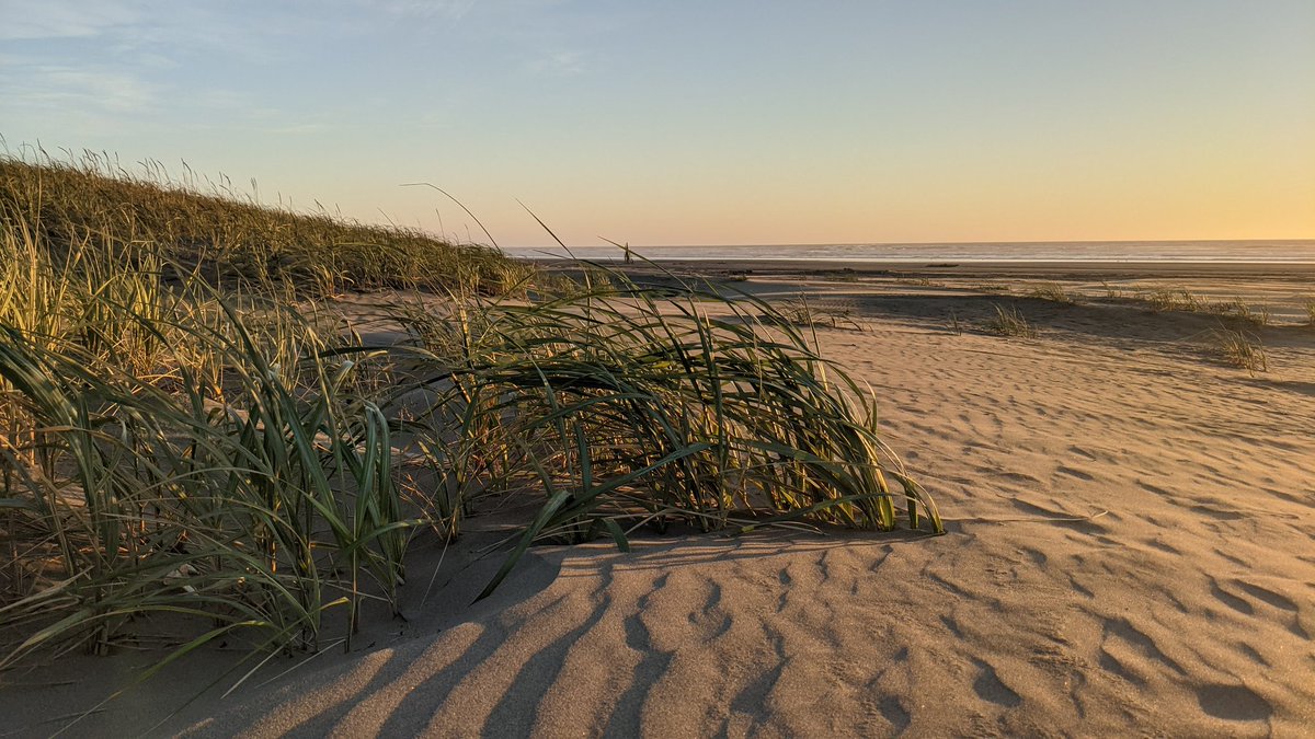 Copalis_Beach's tweet photo. #CopalisBeach #NaturePhotography  #HiddenCoast #WashingtonCoast https://t.co/pBJHSG3XZX