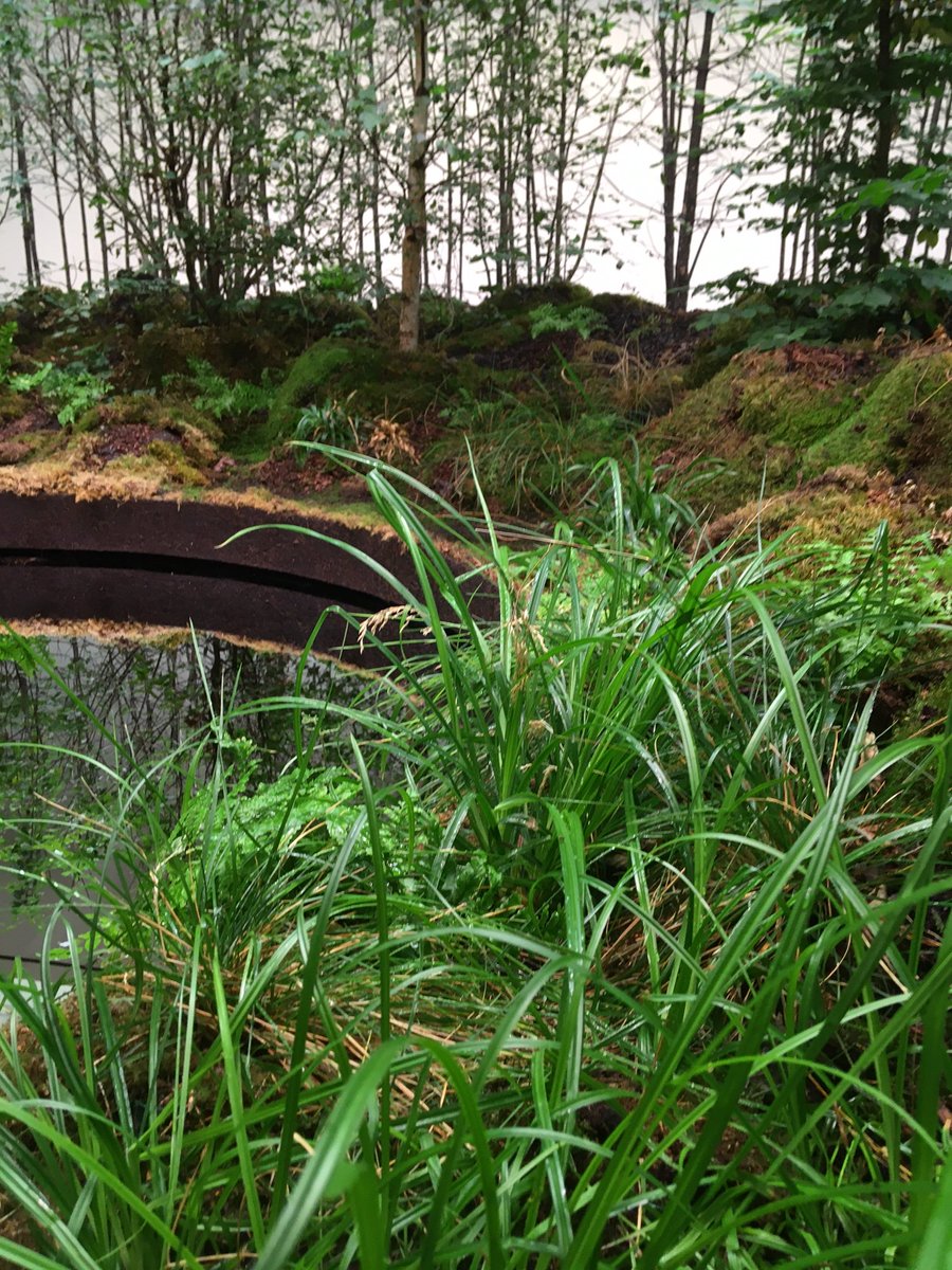 Superflux tweet media