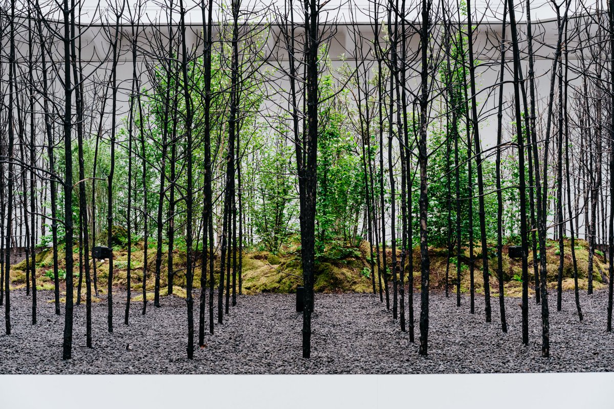 Superflux tweet media