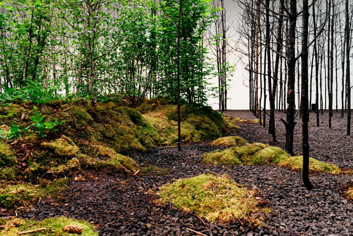 It's the last week of our resurgent forest 'Invocation For Hope' @MAKWien🌳Thanks to all who visited us, and a special shout out to the visitor who wanted to start a petition to keep the forest there forever 💚 We hope you can still make it to the MAK, last day 3rd October⚡