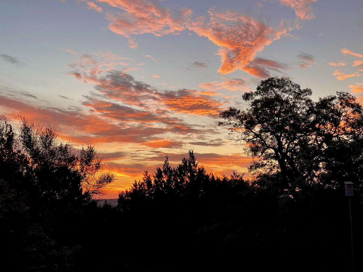 TheJoeBateman's tweet photo. Last Monday of September! Make it a great one! #TexasSunrisesNeverGetOld https://t.co/f3VWmvnH4g