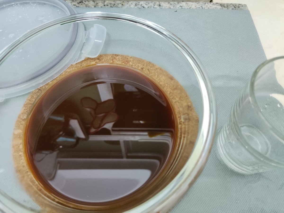 borphine tweet media