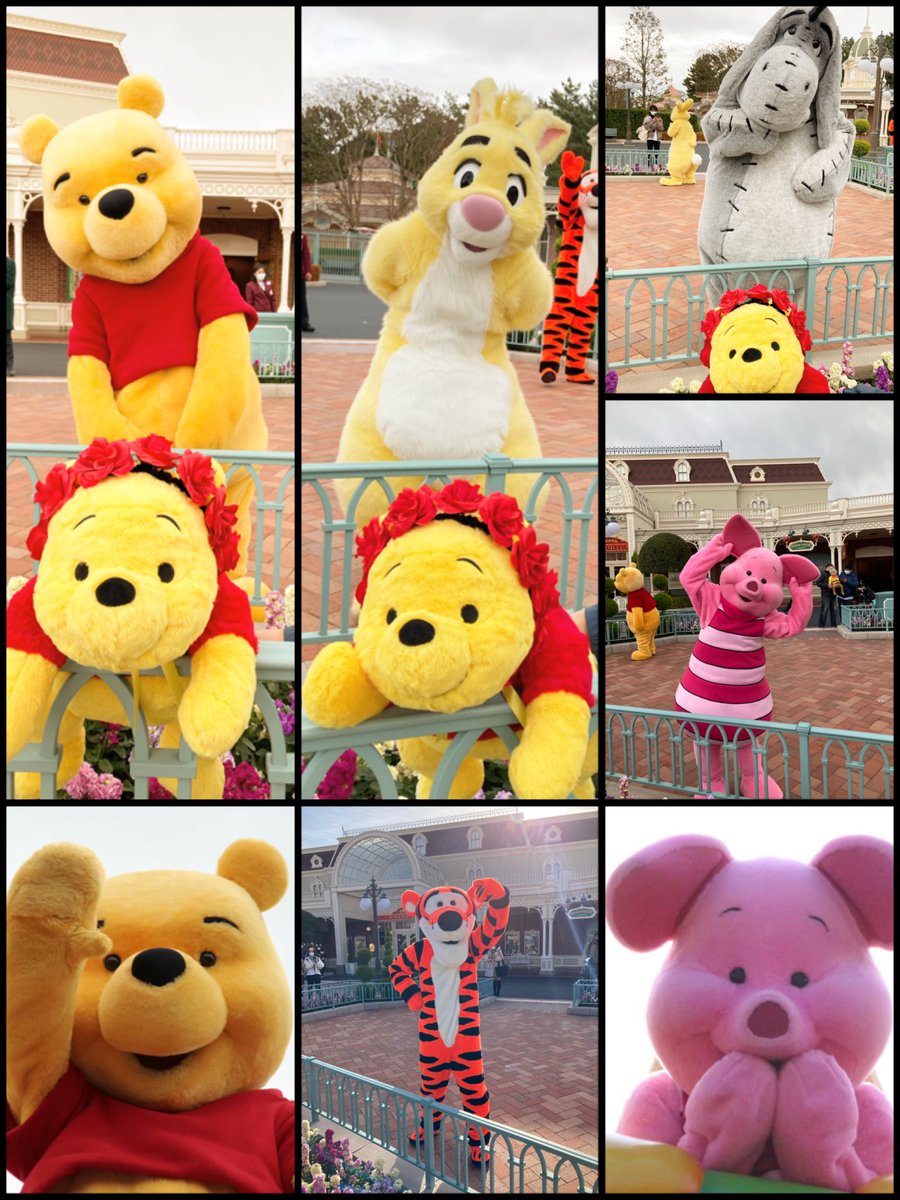 rose20000817's tweet photo. 00 ║ Winnie The Pooh  ║lotso║ 
沢山の人と仲良くなれたら嬉しいです︎︎☁︎︎*.
 #Dヲタさんと繋がりたい 
 #twitter上にいるDヲタ全員と繋がるのが密かな夢だったりするのでとりあえずこれを見たDヲタはRTもしくはフォローしていただけると全力でフォローしに行きます https://t.co/HIWktf6pDa
