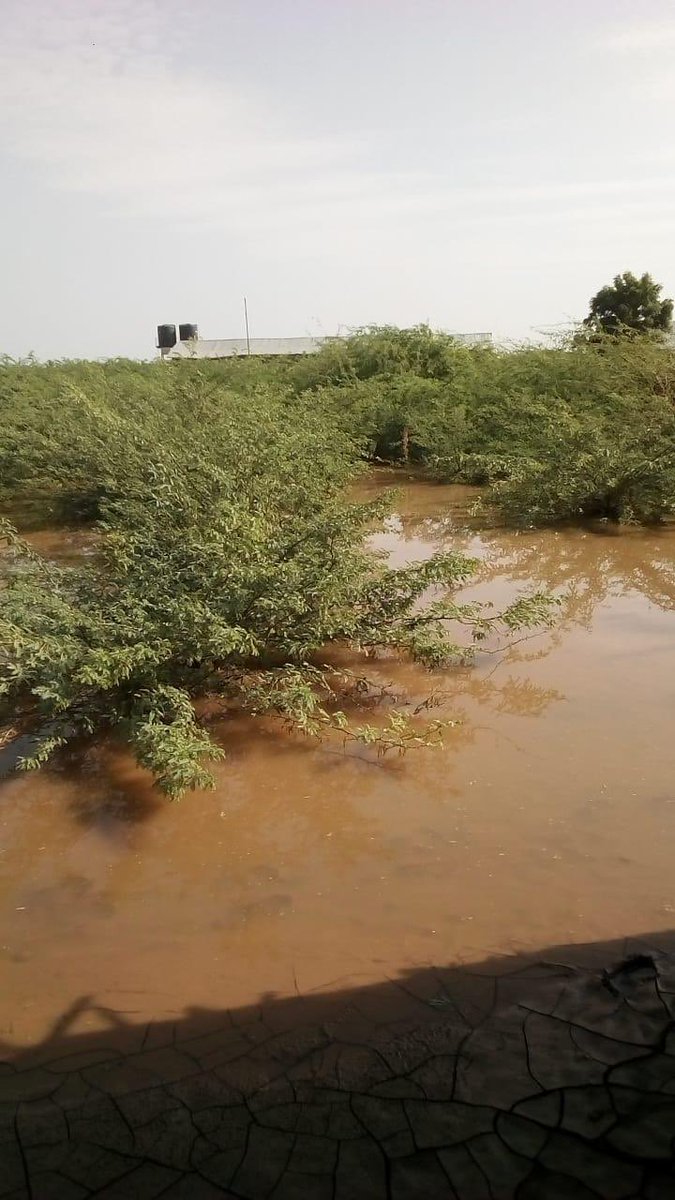 Runners Heal tweet media