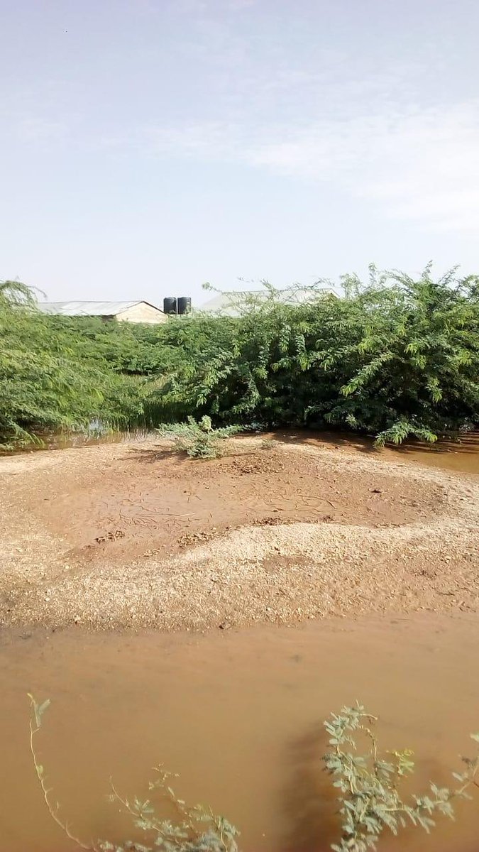 Runners Heal tweet media