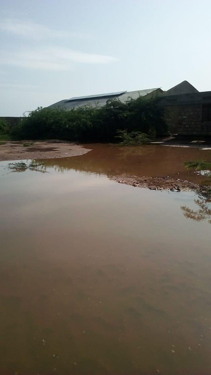 Runners Heal tweet media