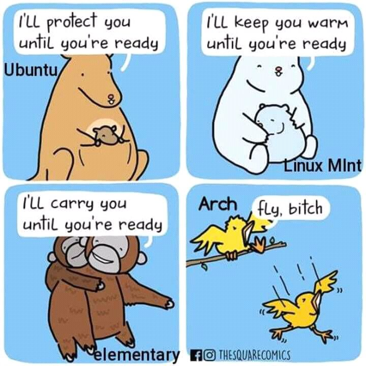 Rot13E's tweet photo. sorry arch users 
#linux #arch https://t.co/44OKbbB3QA