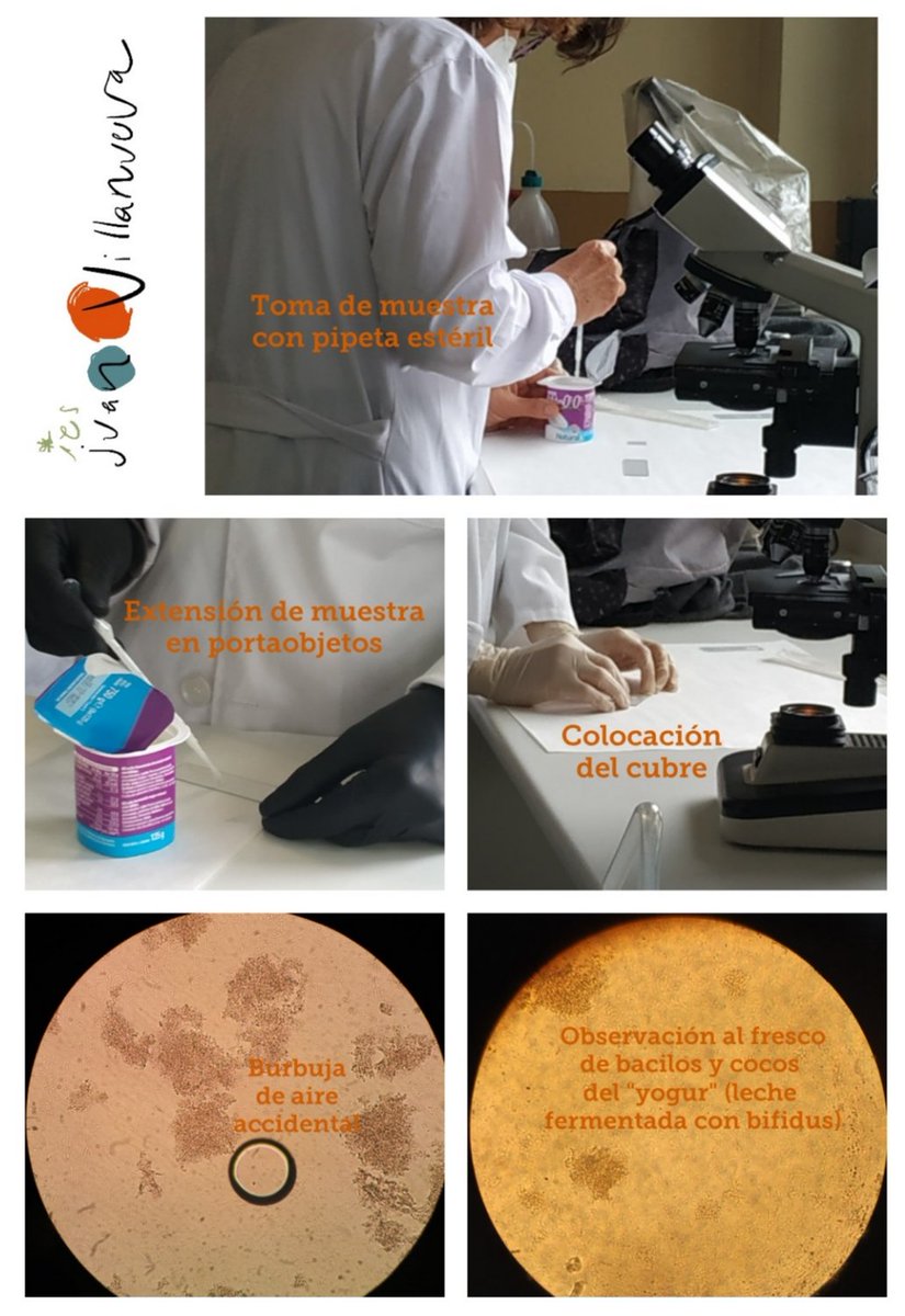 QEscultor's tweet photo. En la primera semana de clase,
2° de #Química y Salud #Ambiental 🏞️ del @iesescultorjuan ya comenzó sus prácticas de Control y #Seguridad #Alimentaria🥣 en #laboratorio! 👩🔬
🦠🧪🔬🌡️🧫
¡Empieza la diversión para tod@s! 😊
#Ilusión por enseñar =
Emoción por aprender
#YoCreoenLaFP https://t.co/91lguegzuJ