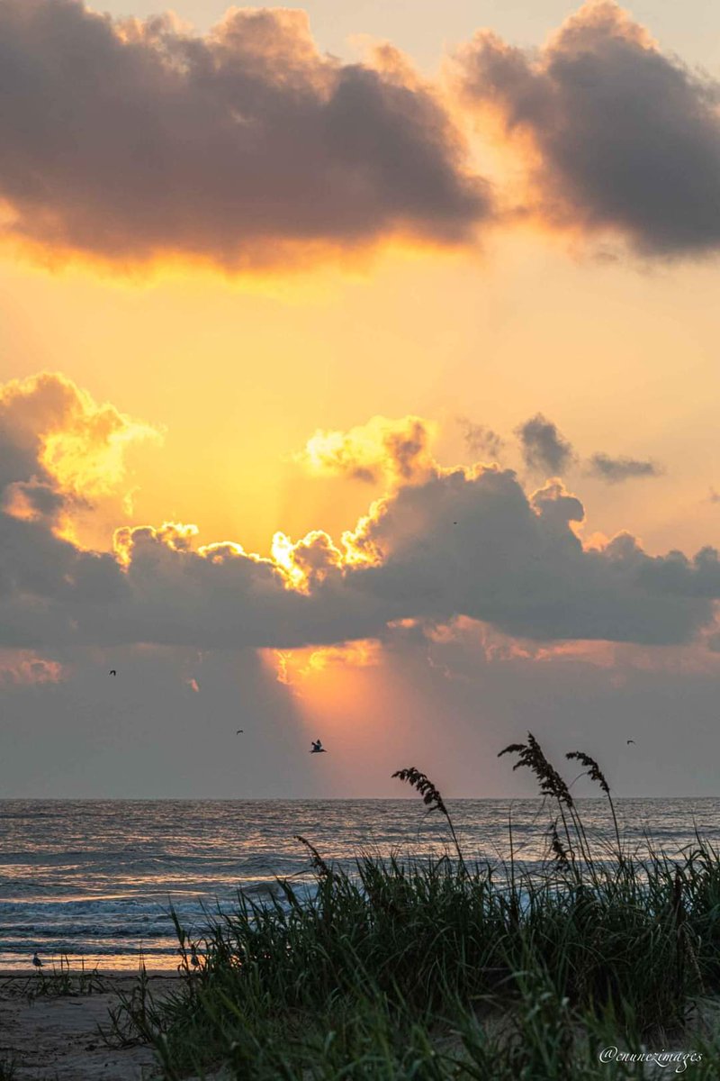 HIResortSPI's tweet photo. South Padre Island mornings are the best way to kick off the new week...

(956) 426-9066 | https://t.co/WSTv2qGBUs 

📷: @cnunezimages

🌅☕🌅☕🌅☕🌅☕🌅☕🌅☕🌅☕🌅☕🌅☕🌅 https://t.co/5afzKaCtng