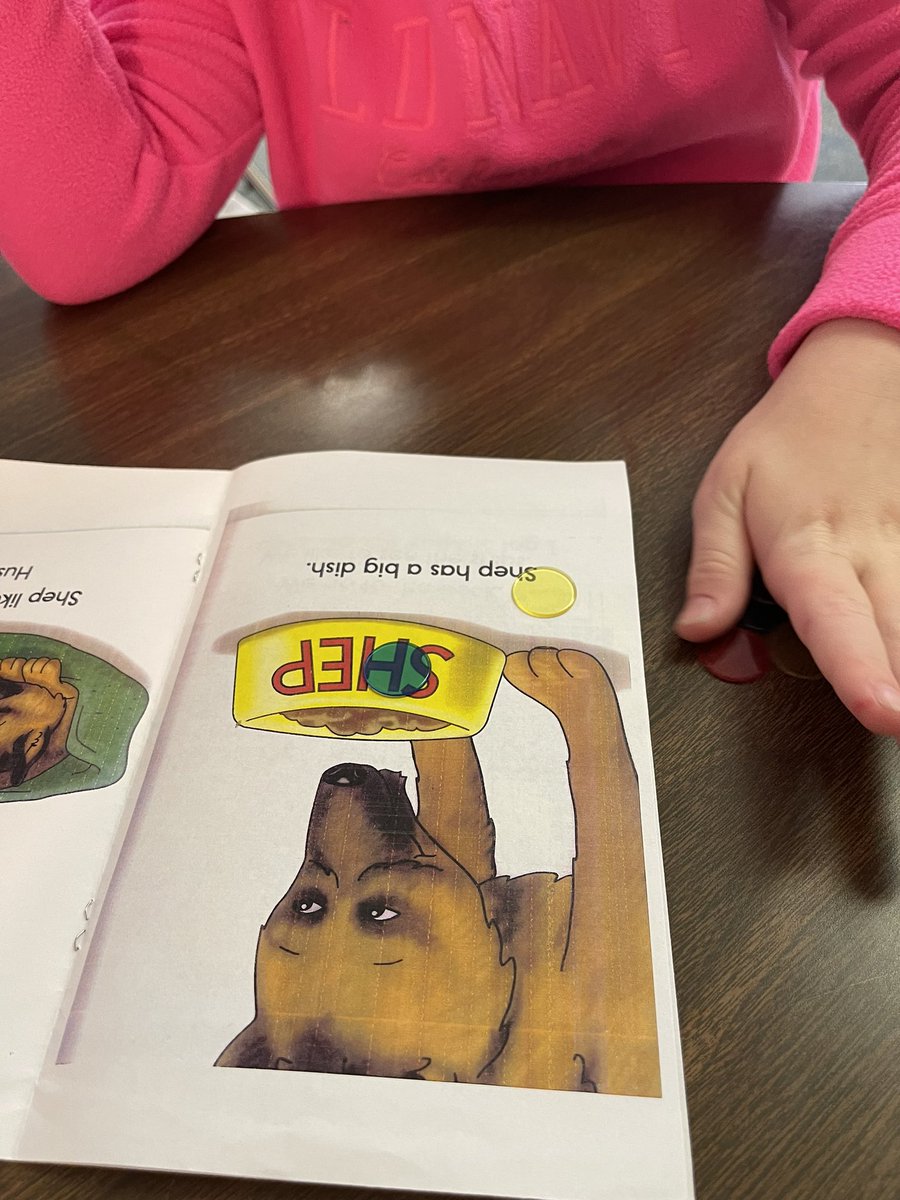 GHamilton1111's tweet photo. I/E was on fire today working on sh and th. So proud of these kiddos! 

#CelebrateNCE #CCSBetheone #2ndgraderocks #learningisfun #letterland #readersareleaders #phonics https://t.co/YMFcTsFbpJ