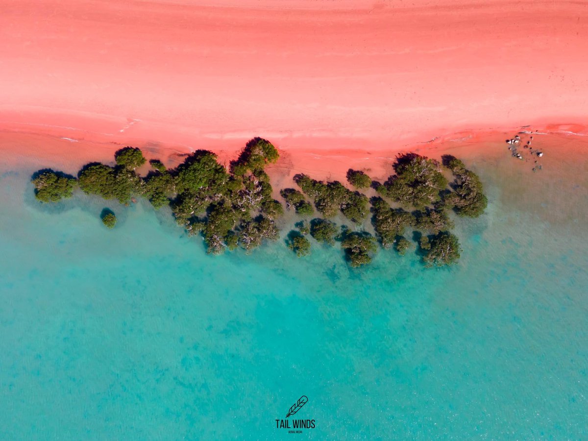 Tail_Winds's tweet photo. Stunning Broome, WA. #broome #wabeaches #perthisok #dji #topdown #drone https://t.co/ozUkxk9jc8