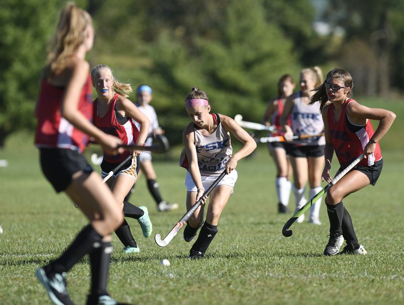 carrollvarsity's tweet photo. Senior twins Brooke and Hannah Boyer, alongside younger sister Katelyn, are in their third season playing together and they have helped @CCPS_FSKEagles field hockey to a 3-0 start this fall. To read a feature story about the sisters and team, CLICK HERE: https://t.co/q0y8L0gvBM https://t.co/021qgScRfc
