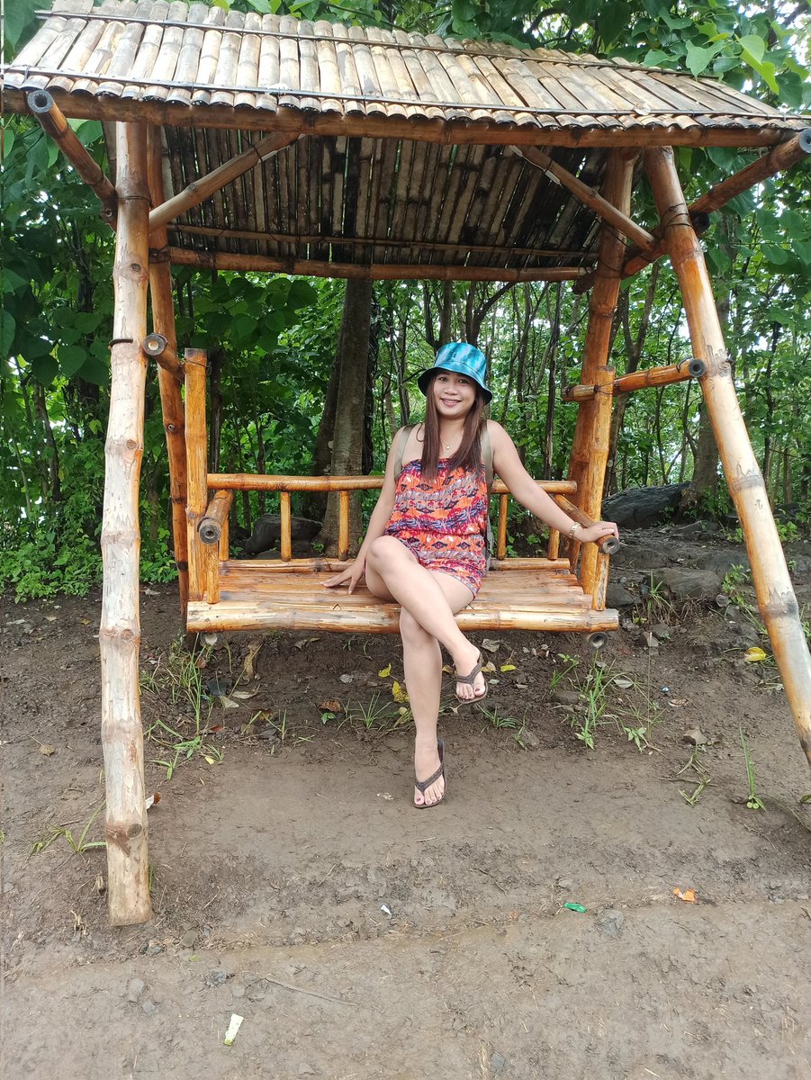 anne_2618's tweet photo. 🌳 https://t.co/LZSQ96CZFJ