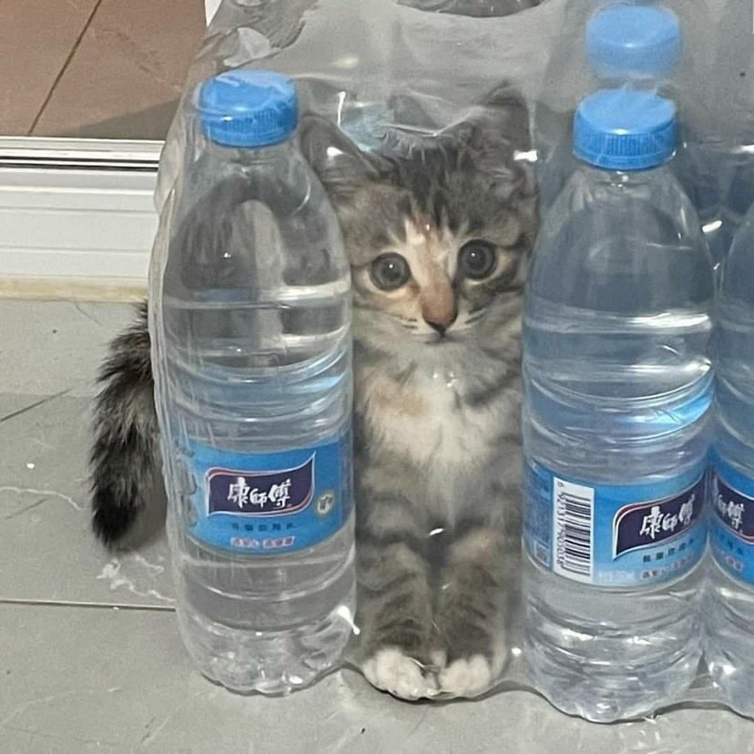 ✦˚ ༘🚏🚲𓂃𓈒𓏸𝘅𝗲𝗻𝗼𝗻 tweet media