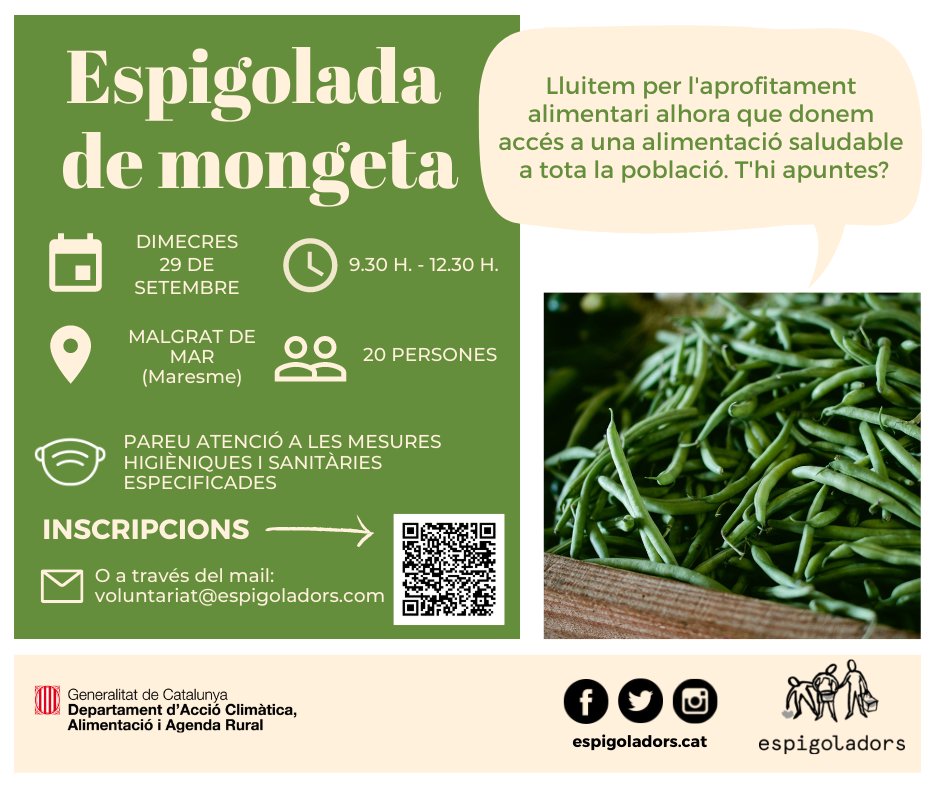 📢 Gent bonica del Maresme, veniu a espigolar! 

Tornem a #MalgratDeMar per collir mongeta tendra. Us hi apunteu? 😊

🗓 Dimecres 29/09
🕑 9.30 - 12.30 h
📍Malgrat de Mar
Inscripcions 👉bit.ly/3vEf8GT

#JoEspigolo #aprofitemelsaliments

Amb el suport de: 
<a href="/agriculturacat/">Agricultura</a>