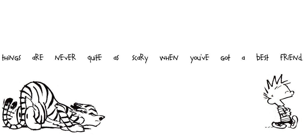 Calvinn_Hobbes's tweet photo. 👦🏼🐯 #CalvinandHobbes https://t.co/pmevL7tgib