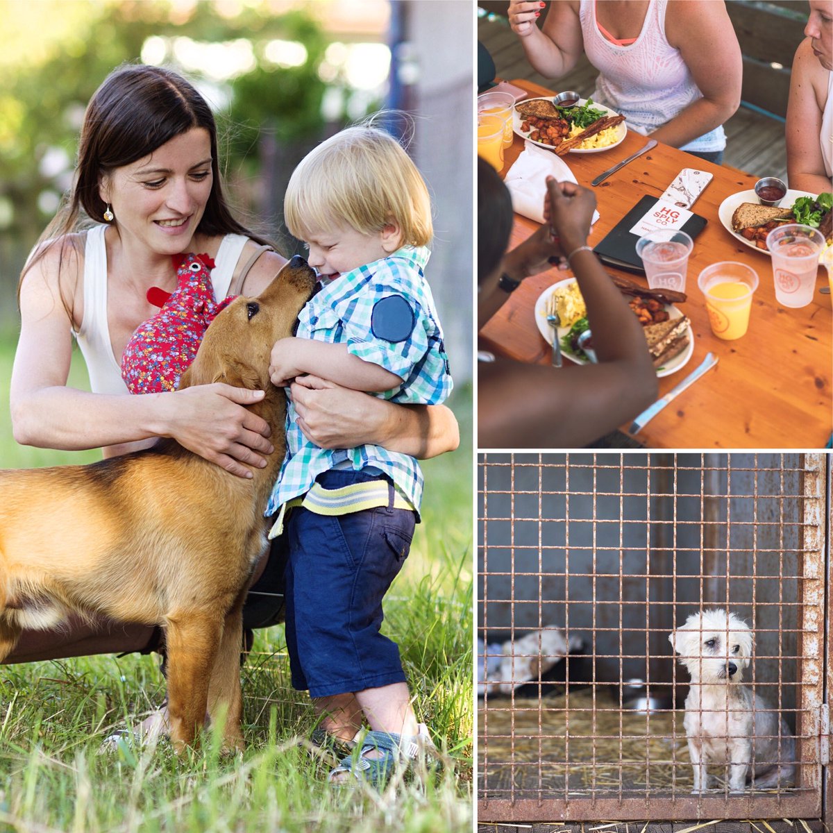 ElwoodDogMeat's tweet photo. The turnout for yesterday's Barn Brunch was AMAZING! It was so good to see a mix of friends old &amp; new--&amp; so many little kiddos! It’s so important for kids to know where their food comes from, to get the chance to meet the dogs, nose to nose, &amp; learn about the circle of life. 🥰 https://t.co/sR7MzgoZuw