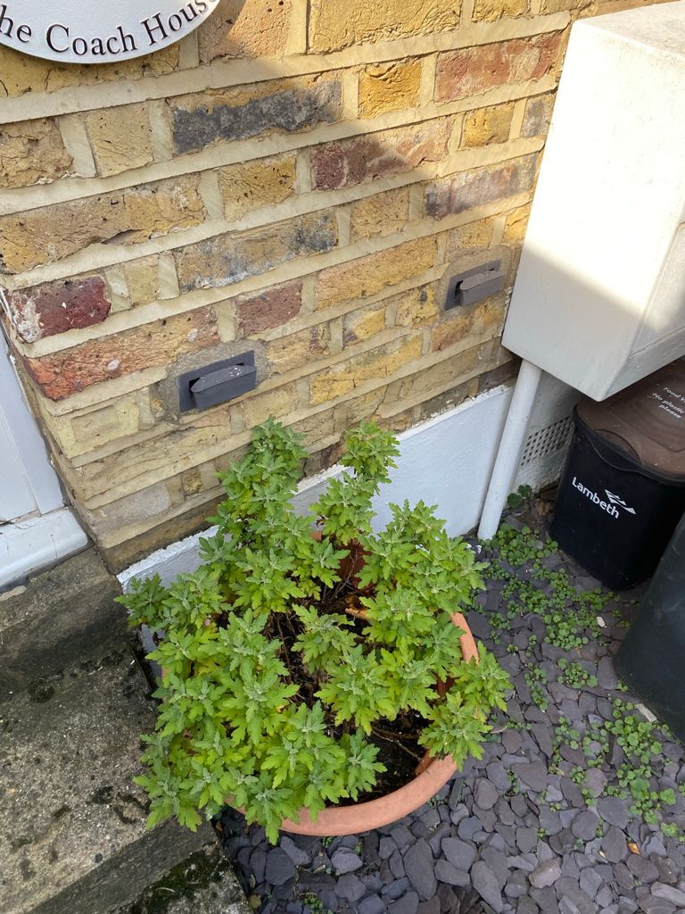 Magic vents,
Magic damp creams,
Magic damp rods,
Magic beans😨.....
Please don't waste your money folks.
There is NO magic water levitating up your walls.
Most damp problems are easy and inexpensive to solve.
#damp #dampsurvey #risingdamp