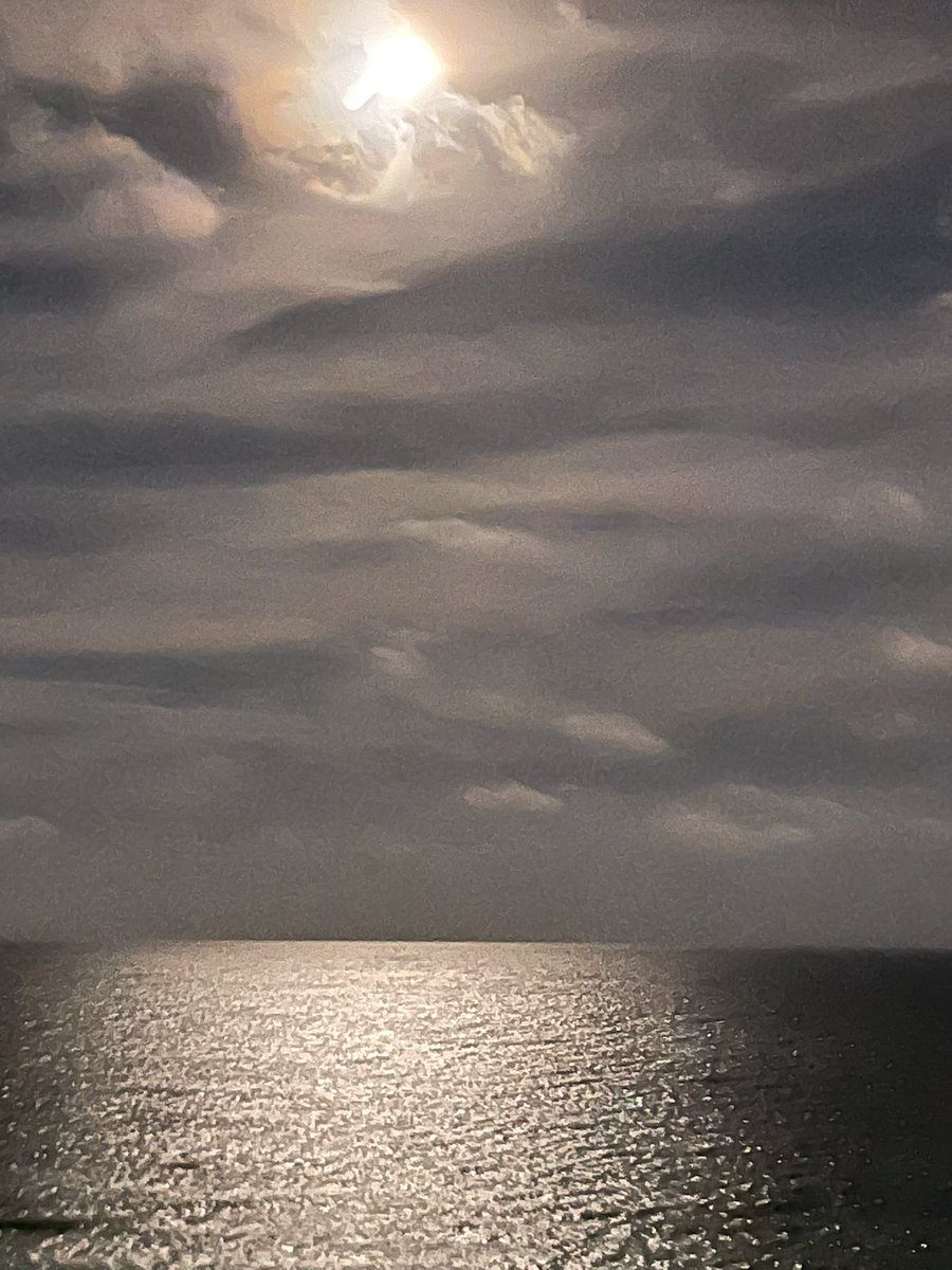 Back from first vaca since 2019. I need another please