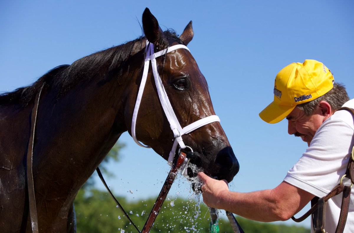 PTHA17's tweet photo. Congrats to our winners on PA Derby Day at Parx Racing! #PADerby #ParxRacing #PTHA #VineJet #MindControl #ChubWagon #MagicMichael @PennHorseRacing @letsgoracingpa https://t.co/0QSdZGB4R9