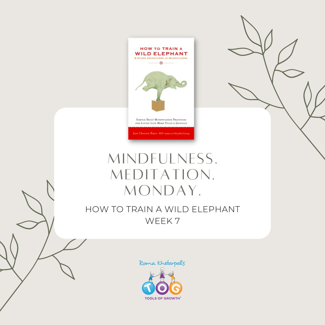 toolsofgrowth's tweet photo. Join me every Monday and today from 8:00 - 8:30pm for Session 7 of practices from How to Train a Wild Elephant by the brilliant Jan Chozen Bays MD. 

Can’t wait to see you tonight

To register here: https://t.co/llPfD4klyj https://t.co/TSOOcYOjgZ