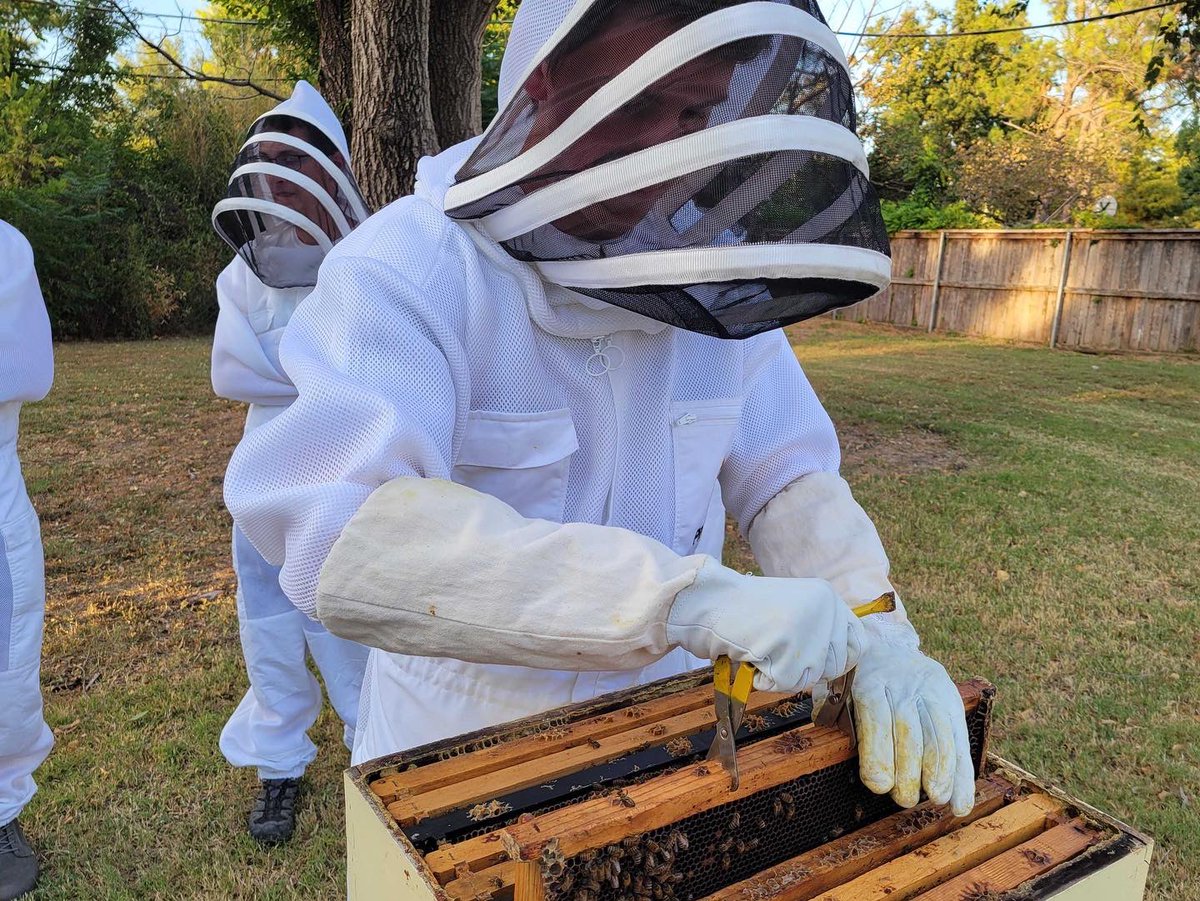 OUBeeClub's tweet image. When you’re busy as a bee, a weekend can fly right by! 🐝