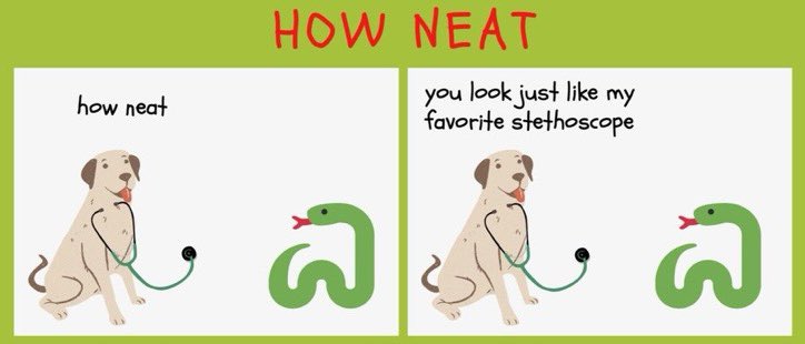 The Dogtors Office (@dogtorsoffice) on Twitter photo 