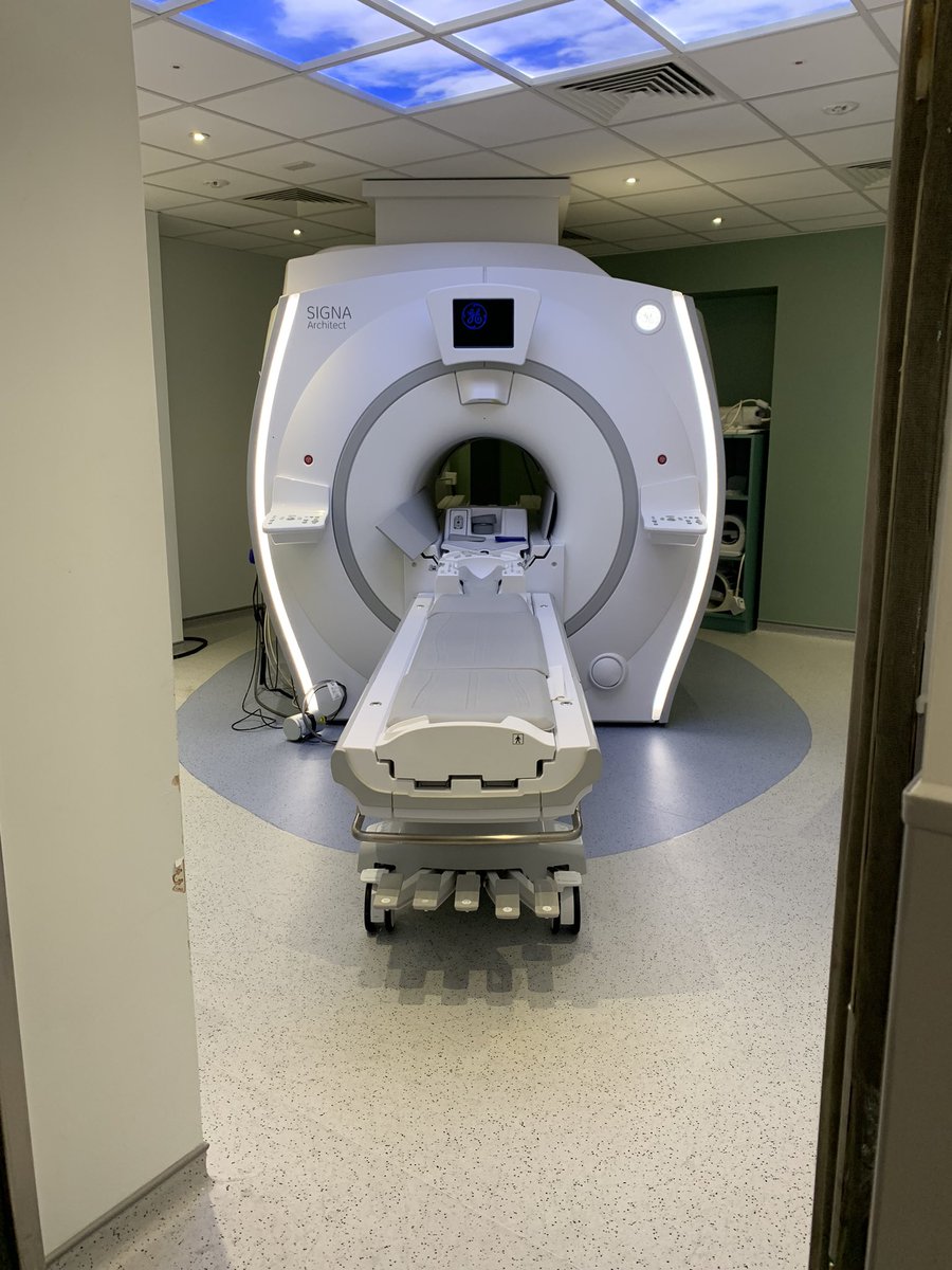 Liz Shaughnessy 💙 tweet media