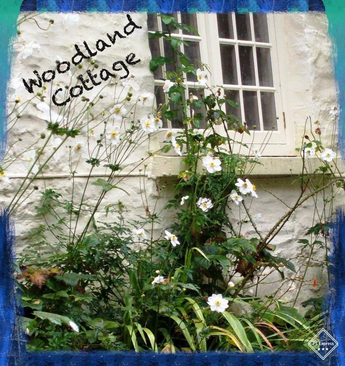julieEsampson's tweet photo. For #HDday #WoodlandCottage where she stayed in the #Heddonvalley in #Devon early in 1916 https://t.co/MFSvNHxk4r