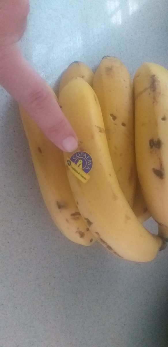 Ahora más k nunka...ahora komo siempre,dejen la peninsula sin plátanos en las estanterías de su tienda...Comprenlos todos!!!!va por vosotros...va por todos!!!!todo aporta....VAMOS KANARIAS PODEMOS KON ESTO