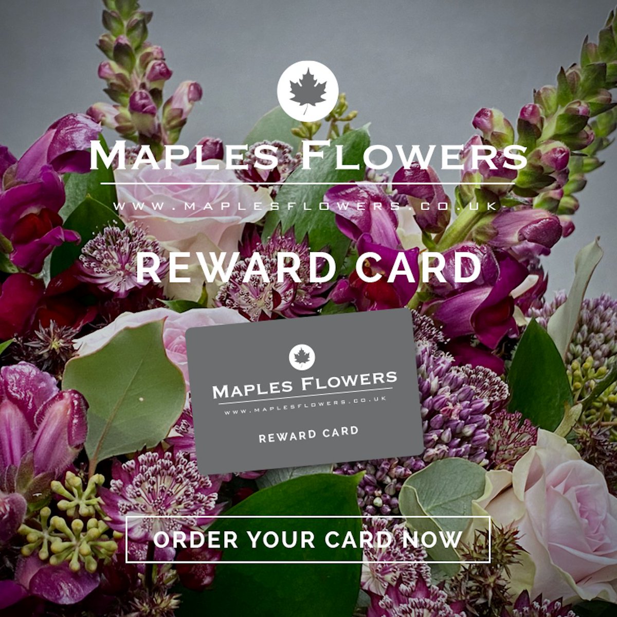 MaplesFlowers's tweet photo. Exciting News! We have just launched our new REWARD card..  join today to get exclusive deals and gain access to exclusive pre-ordering deals for special occasions such as Valentine's Day, Mother's Day, Christmas Workshops and loads more!

#RewardCard #StoreCard #Florist https://t.co/DegQXKdeGf