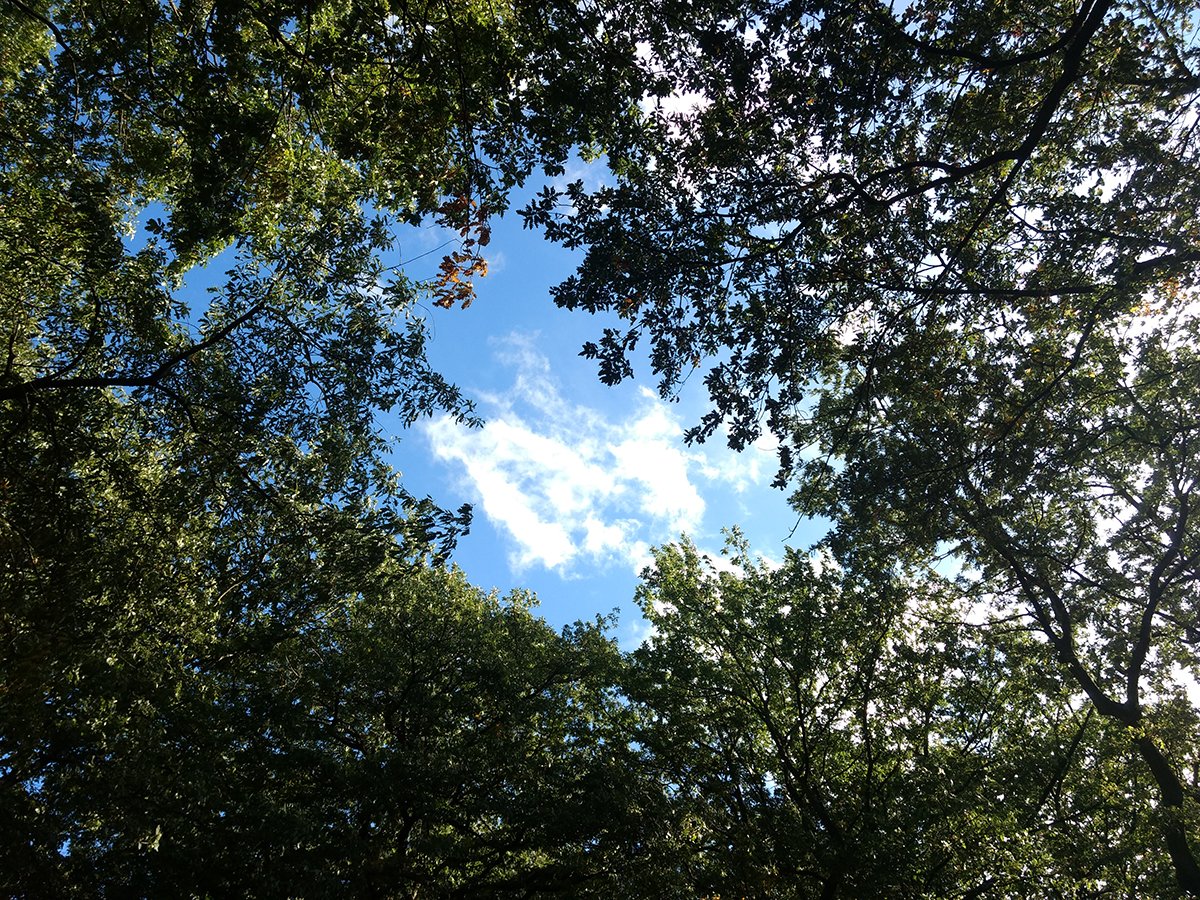 Anna Xambó 🎗 tweet media