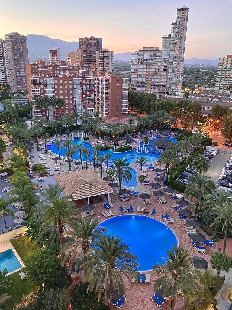 Sol Pelicanos Ocas tweet media