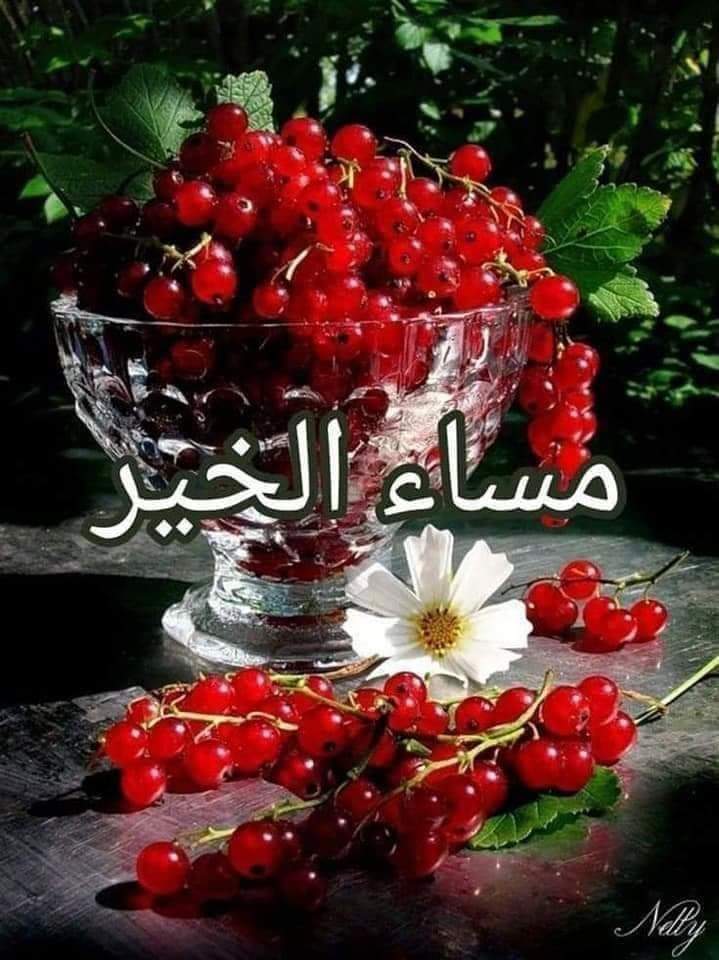4777V's tweet photo. 🥀كلما حمدت ربي ..وَجدتُ منْهُ مَا يُرضِينِي ..
لَكَ الحمدُ رَبِي حَتىَ تَرضى ..
     ولكَ الحمدّ إذا رَضيتّ ..
          ولكَ الحمدُ بعد الرِضىَ .🌺 https://t.co/iiRFwOcuHM