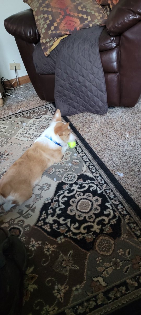 Keta Dines tweet media