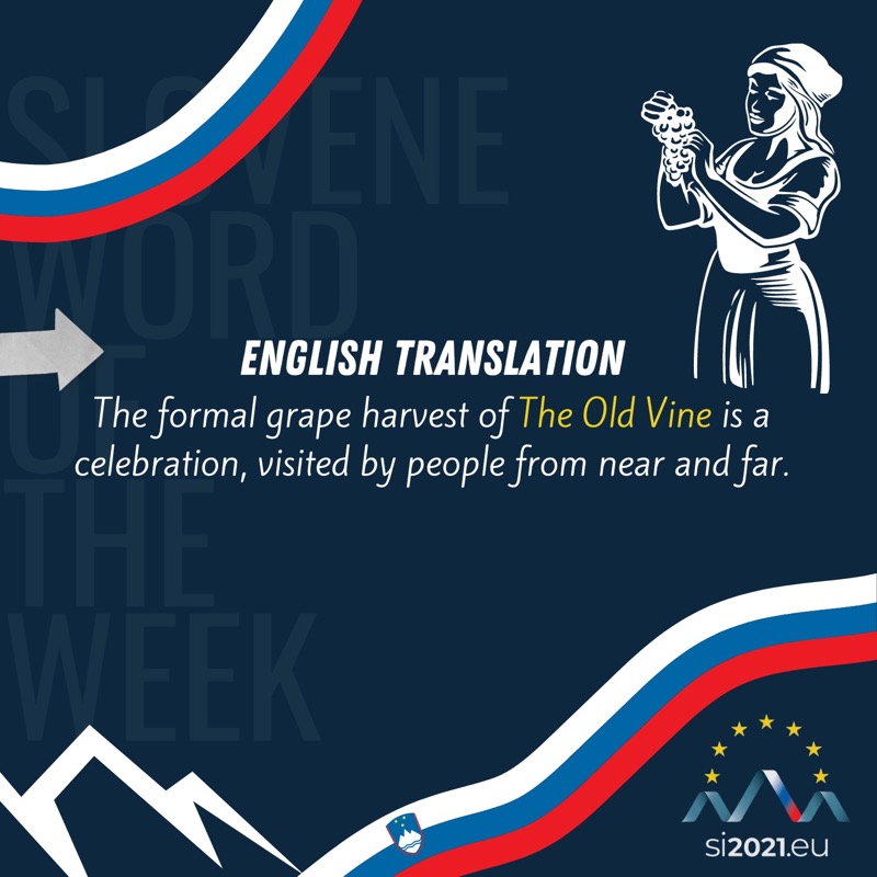 EUInterpreters's tweet photo. #StaraTrta is our #SloveneWordOfTheWeek as only yesterday Maribor 🇸🇮 hosted another world’s oldest vine ceremonial harvest 🧑🌾
🍇🍷 Over 450 years of tradition 👀
Join us each Monday to learn a new word in Slovenian!
@EKvSloveniji @Europarl_SL @EU2021SI👇