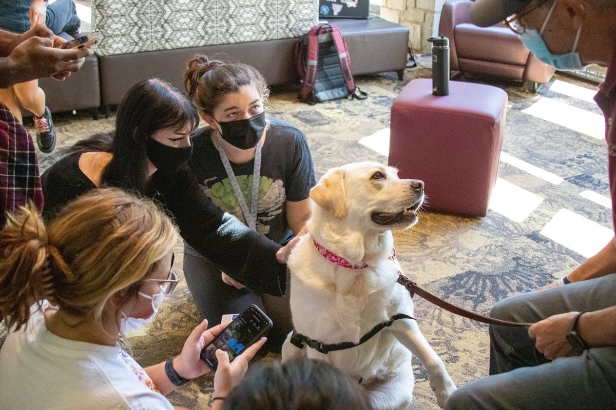 OglethorpeUniv's tweet photo. Yola the English Lab from @CAREingPaws stopped by the TLCC today to give students a chance to decompress between classes at this month's Pause for Paws! https://t.co/7FAufvWGXQ