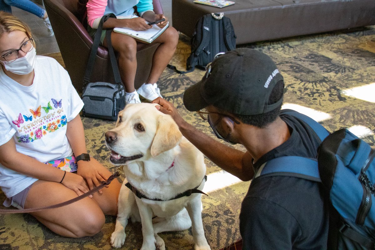 Yola the English Lab from <a href="/CAREingPaws/">CAREing Paws</a> stopped by the TLCC today to give students a chance to decompress between classes at this month's Pause for Paws!
