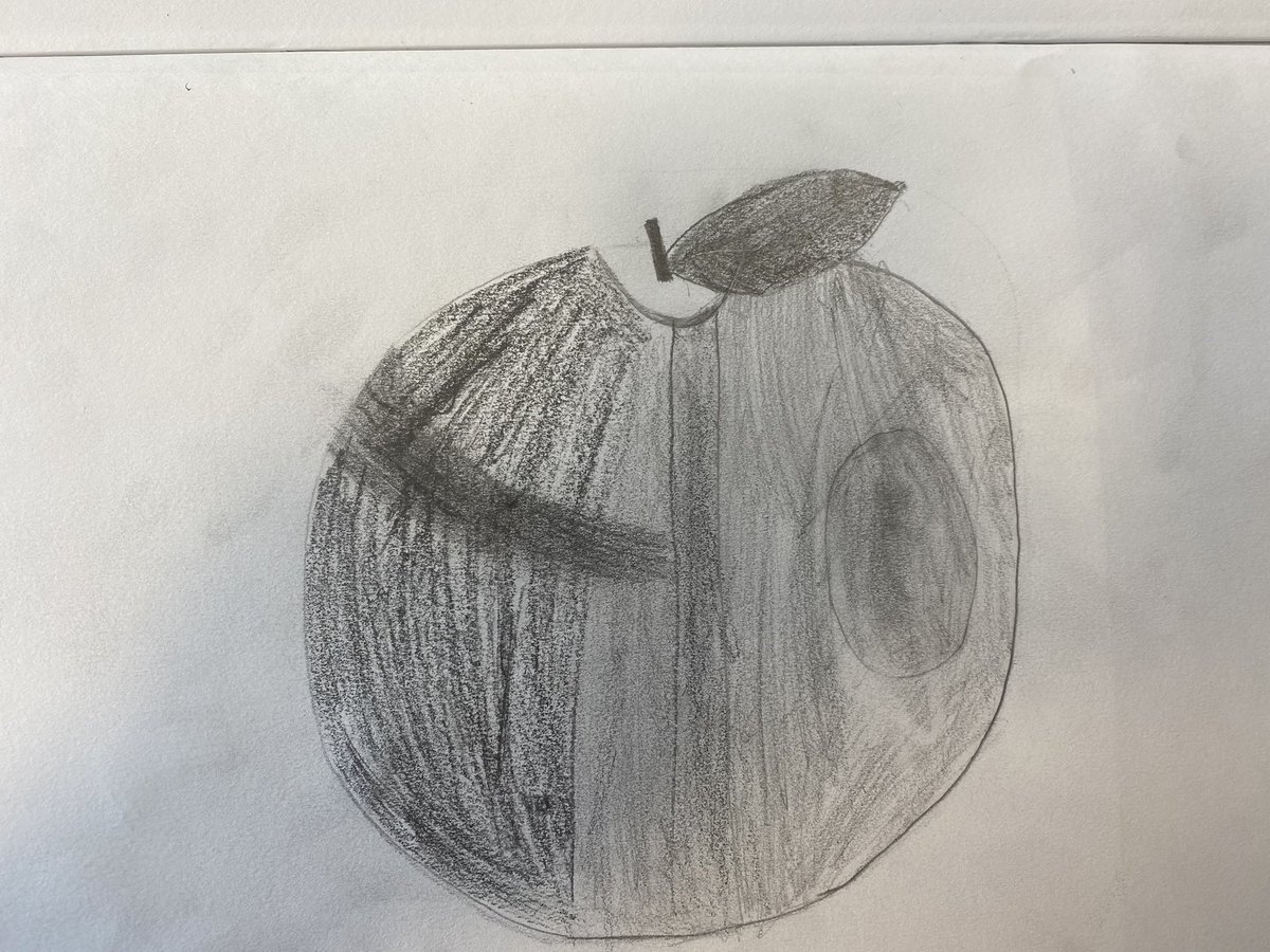 Fabulous still life drawings from year 3, Mrs Brennan’s class.