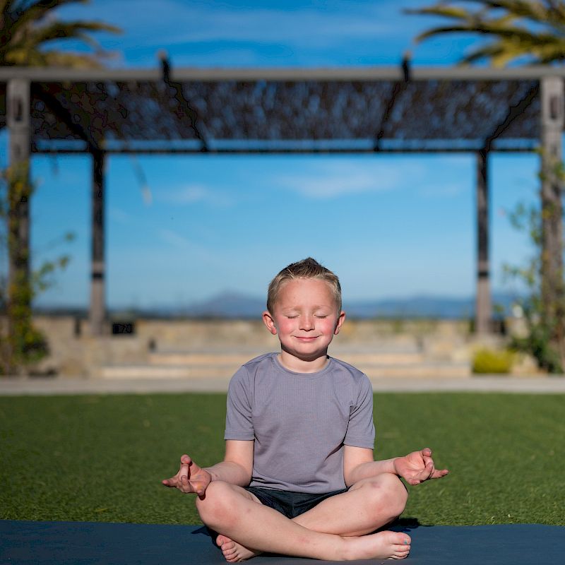 therapytreeaz's tweet photo. Here at Therapy Tree we get to help ALL kinds of children. From cerebral palsy to verbal apraxia, to teaching self-regulation or self-calming, we are here for it! We love helping children grow into happy, healthy, well-functioning adults. https://t.co/h4LKX9QBJu https://t.co/8tP8oDfWqD