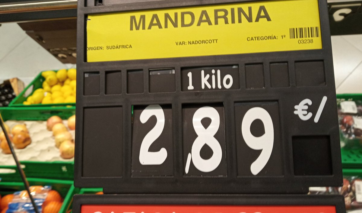Disponibles en <a href="/Mercadona/">Mercadona</a> cítricos de Sudáfrica:

Traídos desde 15000 km en barcos de gasóleo🚢
Sus variedades tardías coinciden con españolas🍊
Responsables de la entrada de plagas que nos arruinan como el cotonet🐛

Eso sí,las puedes llevar en bolsas compostables sostenibles 🤗